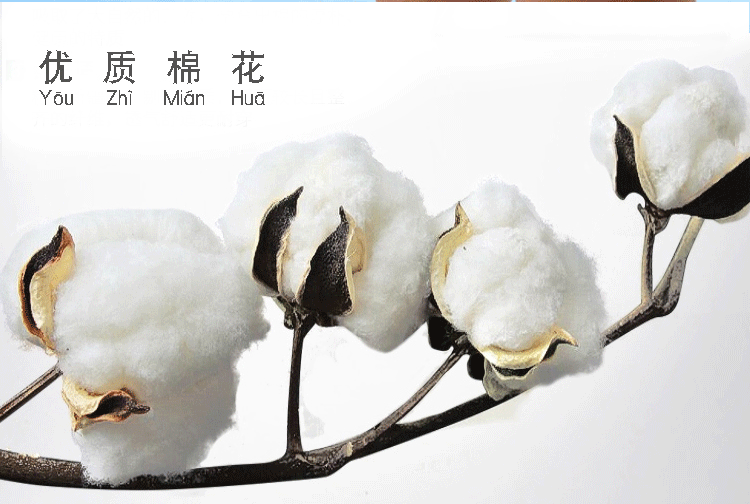 Đồ lót nam 4 tải đặc biệt ưu đãi 9,9 nhân dân tệ gói chín chín chín 10 nhân dân tệ bên trong quần short sinh viên quần chip nam