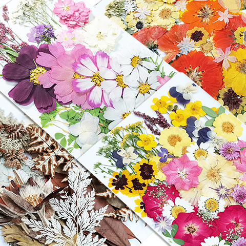 ドライフラワー植物標本 DIY エンボス加工 手作り素材パッケージ 丸型扇子 グリーティングカード デスクランプ ステッカー 押し花 バレンタインデーギフト