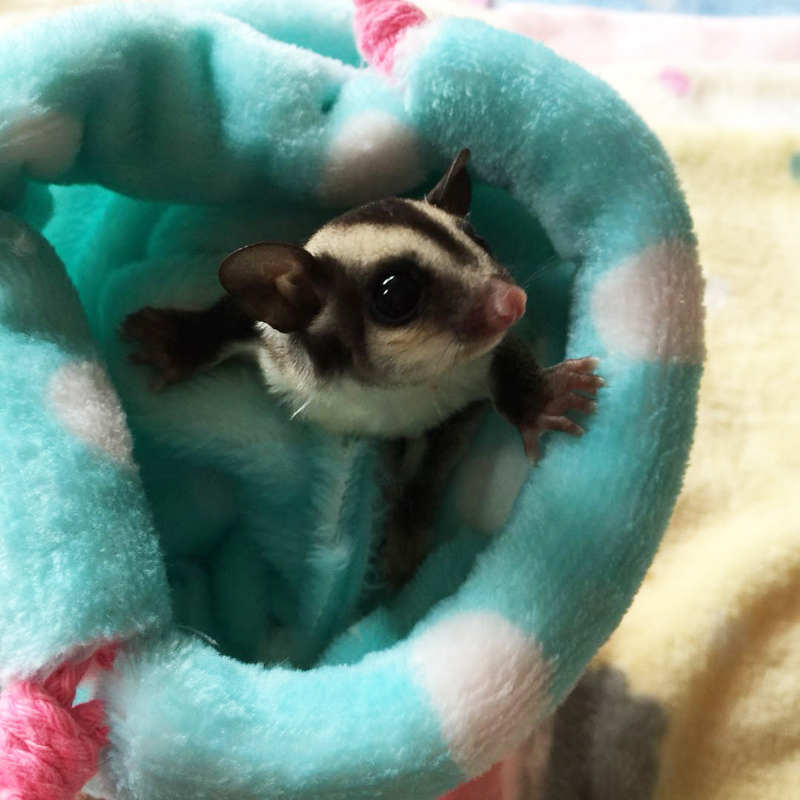 Bag bag outoutpacking bag bag bag bag bag bag bag bag bag bag bag bag security check bag anti-bite