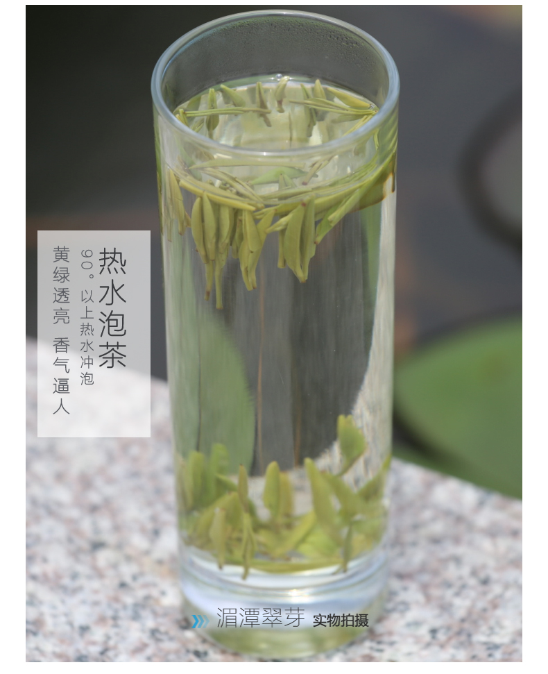 阳春白雪高山有机绿茶湄潭翠芽雀舌茶叶贵州遵义特产春节礼品装