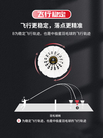 中极星羽毛球 球三星特惠耐打羽球 稳定12只装鹅毛正品旗舰店官方