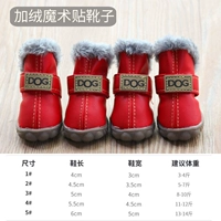 Собака красный бархат