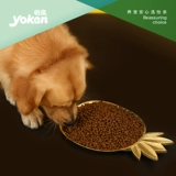 Yishou Food Food Желудочно -кишечный и желудок