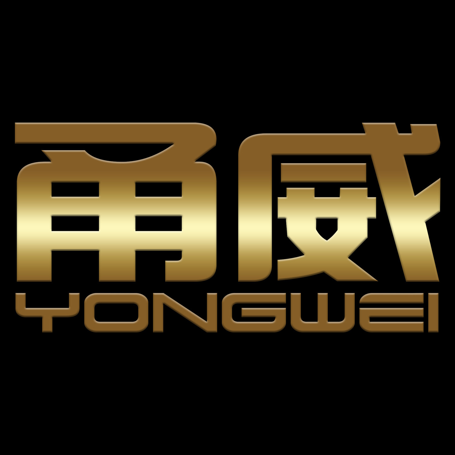 甬威数码影音店