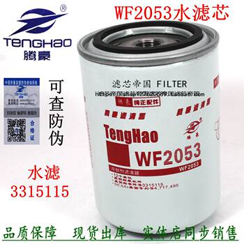 Kang Water Filter Element Wf2053 Mingsi Coolant Filter 3315115 Sx0811 Water Tank Filter Element 3305369