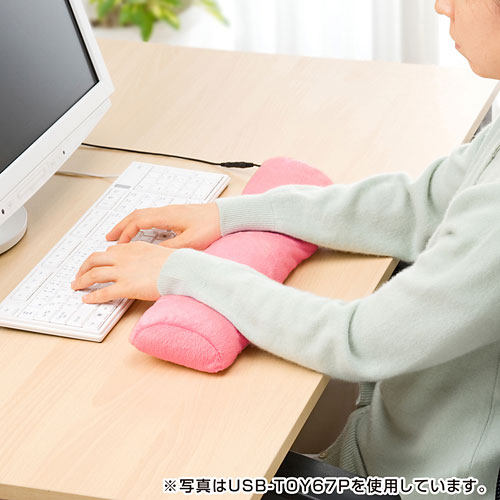 Coussin chauffant USB Sanwa Supply Le Japon et la Corée du Sud - Ref 423511 Image 16