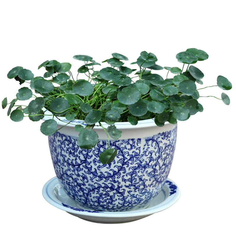 Jingdezhen Ceramic Green Flower Porcelain Flower Pot Flower Bowl with chassis Various specifications Bonsai