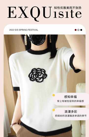 清仓特价精仿羊毛针织衫女圆领套头刺绣T恤茶花新款宽松短袖毛衣