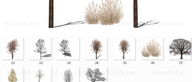 T84 草图大师模型SU园林景观植物花草树木乔木花卉灌木sketc...-75