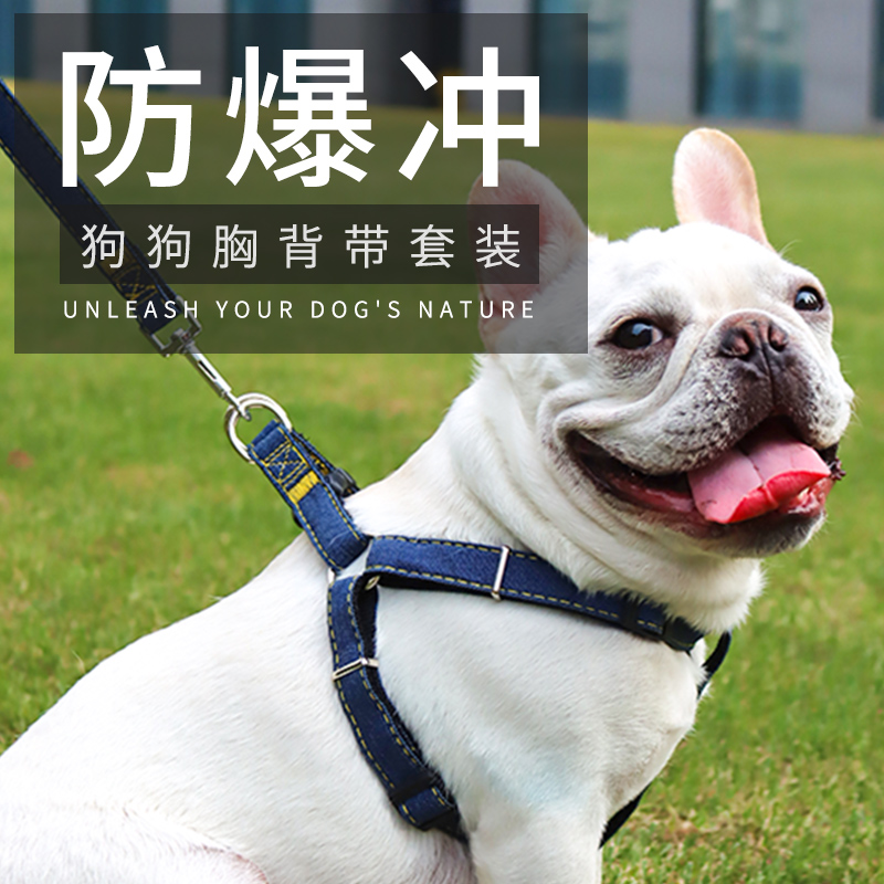 Dog walking dog Traction Rope with baby bag Chest Holding Baby Bag Rope Dog Necklace Small Medium Sized Large Canine Teddy Dog Supplies