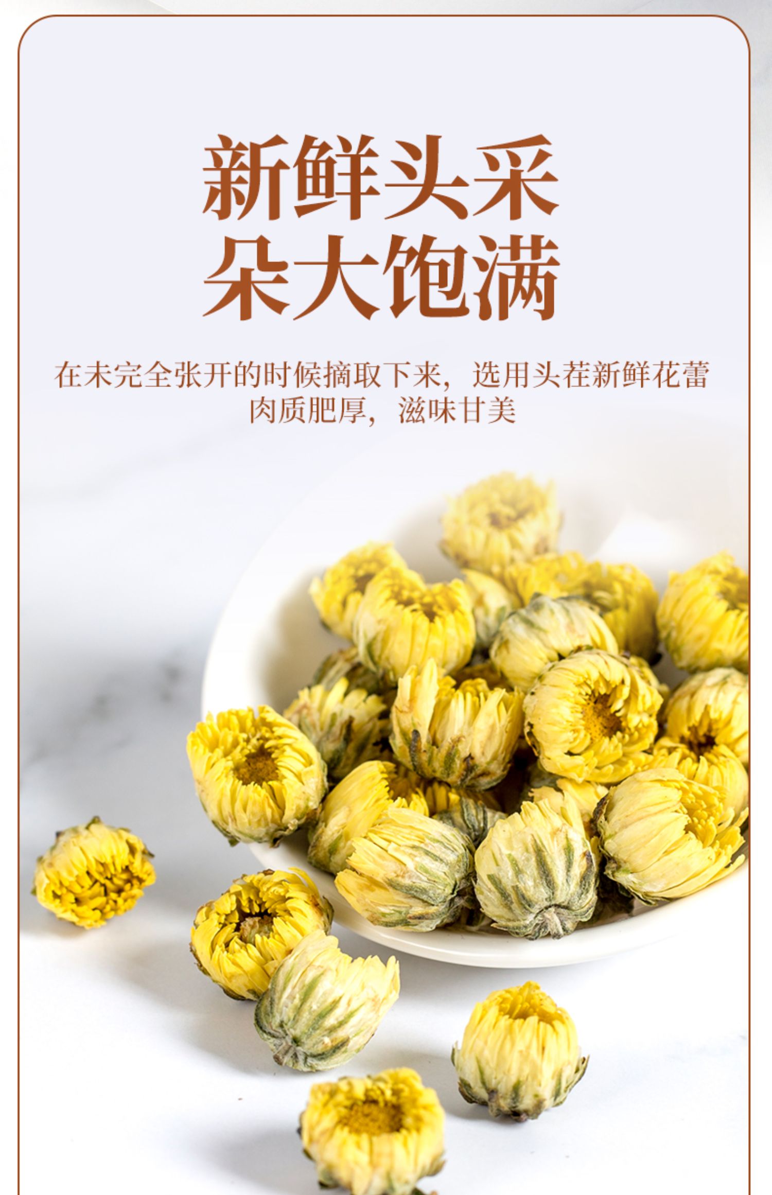 【存誉堂】桐乡特级胎菊菊花茶