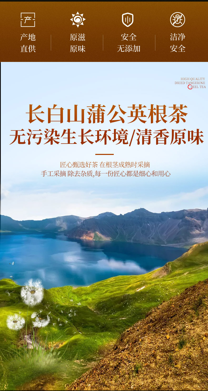 存誉堂 长白山蒲公英根茶野2瓶 送60g共500g 图2