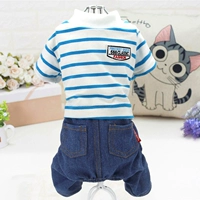 588classic Four Squise Blue Bai