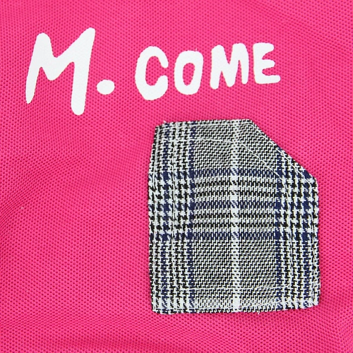 Собачья одежда осень и зима Новый плюшевый маленький и средний цвет для собачьей одежды щенки повседневное воздух -питомец с четырьмя -юбкой