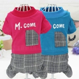 Собачья одежда осень и зима Новый плюшевый маленький и средний цвет для собачьей одежды щенки повседневное воздух -питомец с четырьмя -юбкой