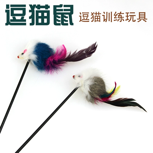 Игрушки для собак, измельчение зубов, кричащий куриный питомец поставляет кот золотой ретривер Тасар Биби Медвежь