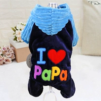 Я люблю папе-голубым