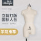 Three-dimensional cutting mannequin women's table can be inserted into the clothing design board 84 standard version of the three-dimensional cutting mannequin model stand 13