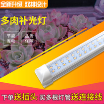 Full-spectrum multi-Meat coloring anti-light light imitation sunlight indoor nursery carnivorous flower plant growth Light