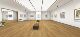 Unity3D Virtual Digital Exhibition Hall, Exhibition Hall, Calligraphy and Painting Exhibition Hall, Art Museum Scene Model Source Code, Interactive and Navigable