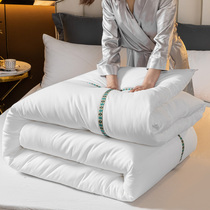 Quilt spring and autumn quilt quilt winter quilt single double air conditioning summer cool quilt thin Four Seasons general student dormitory rental quilt core