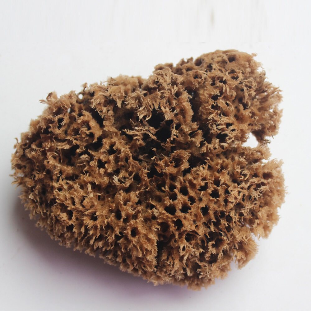 ��ʿ������Ϳ��Һ���ֽTM-HM