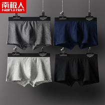 Antarctic man mens underwear Mens cotton fabric pure cotton simple large size boxer shorts tide boxed boxer shorts Summer thin