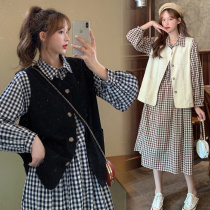 A new jacket skirt for pregnant women in spring fashion suit and a new kit for Korean version in spring and autumn