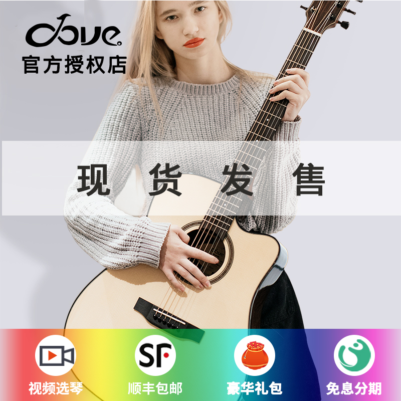 DOVE pigeon guitar DD220 260 280S entry advanced veneer wood folk guitar beginner 41 men and women
