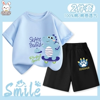 Хлопковые нарукавники, комплект, мультяшный скейтборд, динозавр