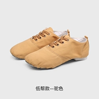 Верблюд с низким уровнем