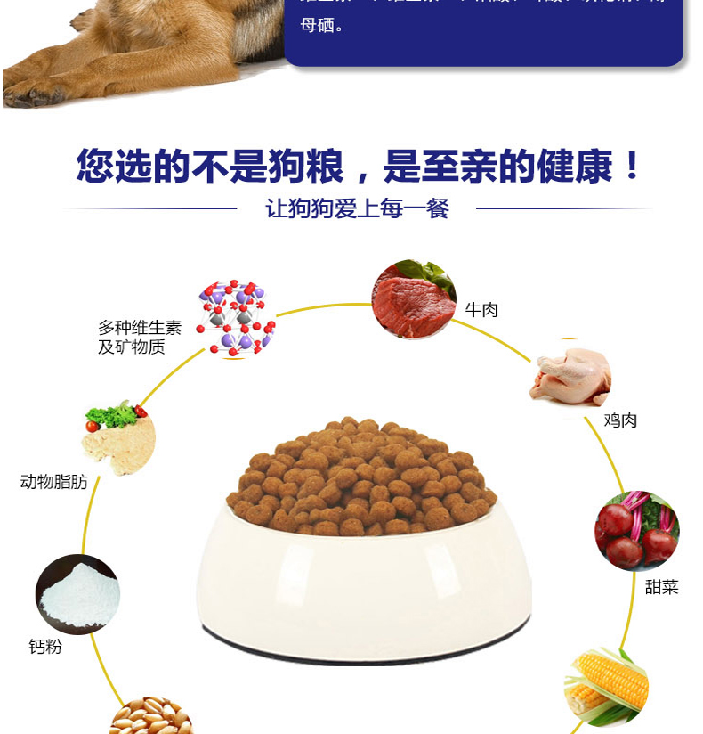 Thức ăn cho chó kho báu ACT thức ăn cho chó trưởng thành 15kg Jinmao Labrador Chó Samoyed chó chung thức ăn chính 30 kg - Chó Staples thức ăn cho chó con