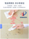 Elementary school students' transparent desk mat study table desk mat children's special waterproof tablecloth crystal plate