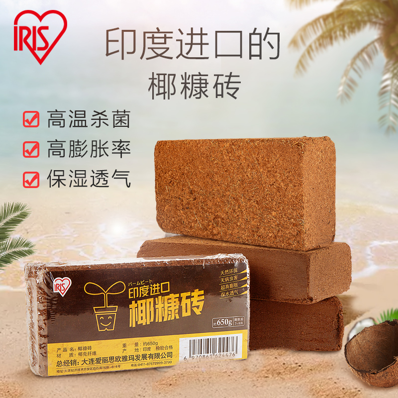 IRISIRISIRISIRISILIS Coconut Brick Brick Brick Brick Brick Brick