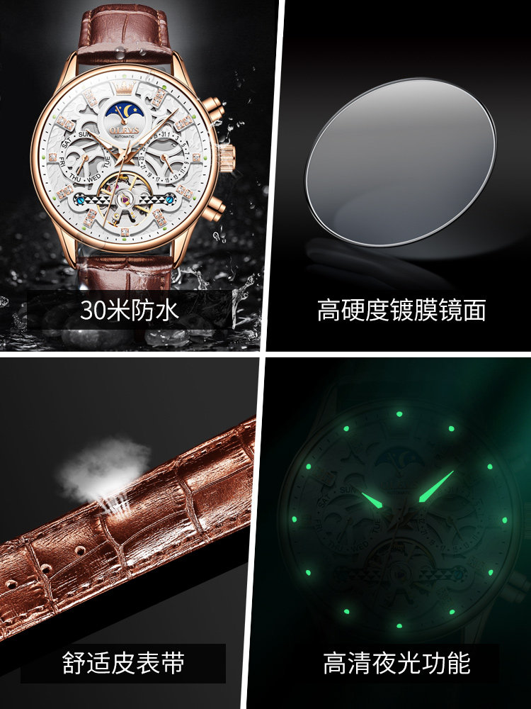 New Year's Gift Swiss Genuine Brand Men's Watch Automatic Mechanical Watch with Leather Strap Skeleton Design Top Ten Luxury Watches