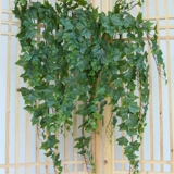 Моделирование растения зеленый укроп поддельный цветок Changchun Vine Living Room Rattan Декоративный цветочный воздух -кондиционирование