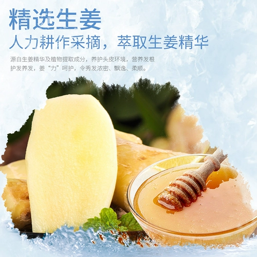 博倩 Массажный крем для кожи головы с имбирем, лечебный кондиционер