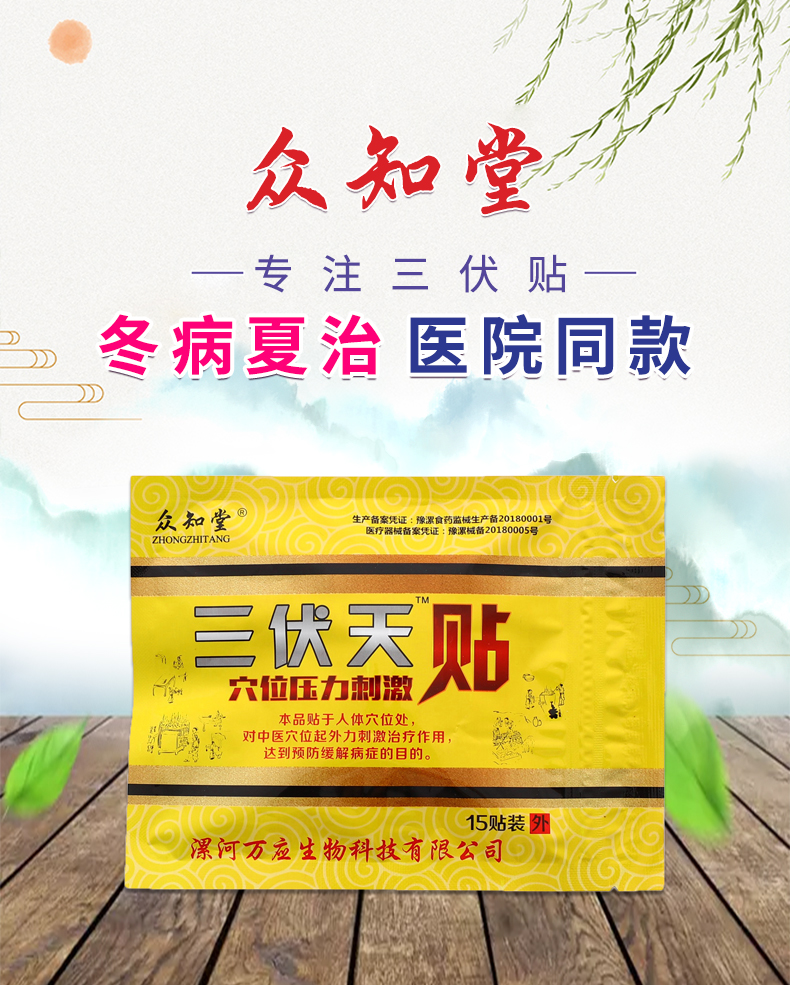 医疗器械认证  众知堂   三伏贴膏 15贴 送穴位图 图2