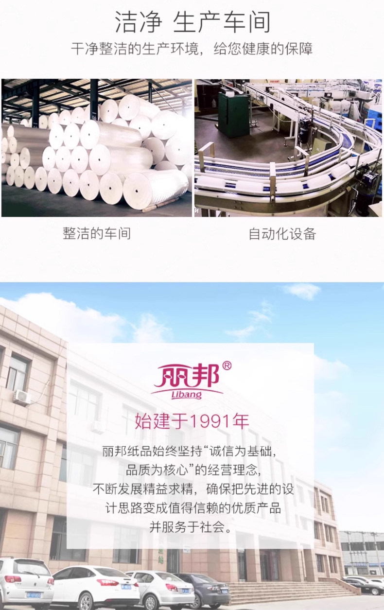 安享好物 安享B级抽纸-丽邦抽纸 国标 