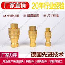 Supply High quality KZD4-10 ZG1 2 4 Separate closed hydraulic quick coupling mold nozzle copper joint