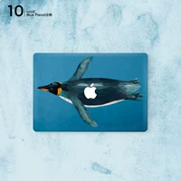 10_blue Planet Penguin