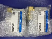 Japan SMC original pneumatic solenoid valve VX214BZ2AXB VX230EG VX264DZ2A spot
