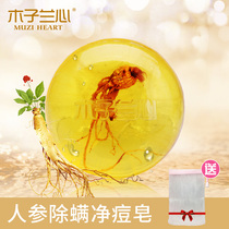 Ginseng mites soap handmade soap Sophora flavescens clean mite soap tender white oil control oil acne facial wash soap moisturizing soap soap