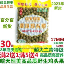 2023 Tianchang Longgang Chicken Head Fruit Erqing Special Fresh Wild Frozen Chicken Head Rice Gorgon Fruit 500g