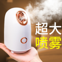 Large water tank steamer beauty instrument humidifier thermal spray portable small Nano spray water supplement instrument household artifact