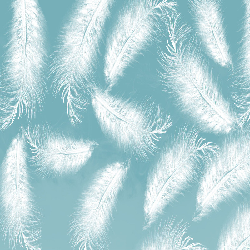 TUXIJING fast - handed stereo European feather background fabric 3D stereo live broadcast atmosphere Nordic clothing is simply in