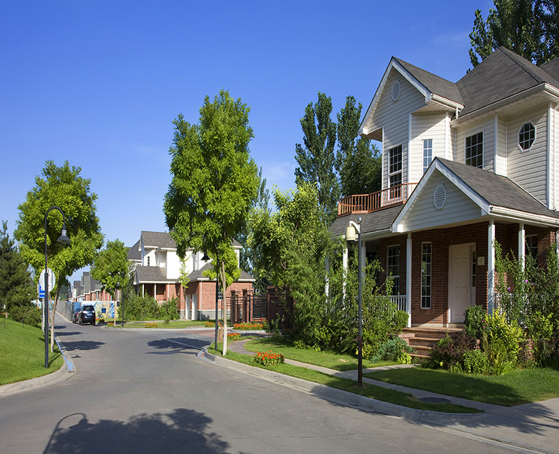 The background of anchor background wall 3D stereoscopic prairie background
