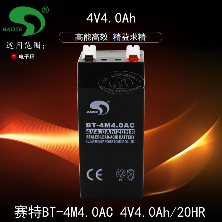 Shanghai Yousheng brand electronic counting scale BS-30KA 4V4AH Taiwan Saite battery 4V4 0AH battery