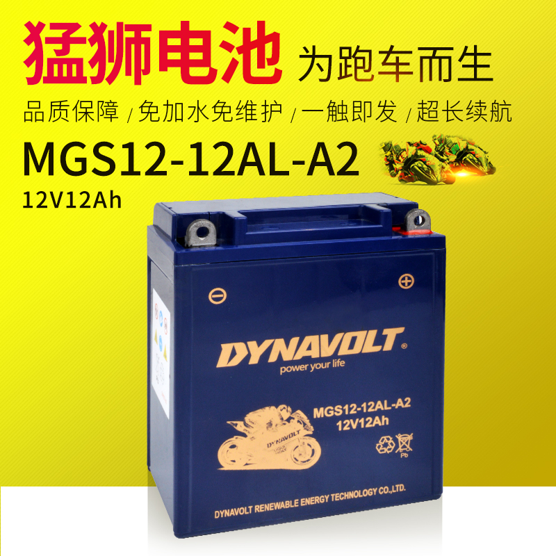 The Menglion 12V12 An Locomotive Electric Storage Bottle is exempted from the maintenance of dry battery BMW Locomotive Straddle Biking