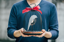 New JinGoo birdcage speaker light birdcage light